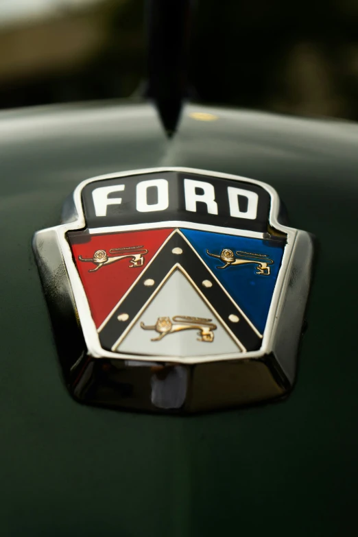 a emblem on the hood of an old green car