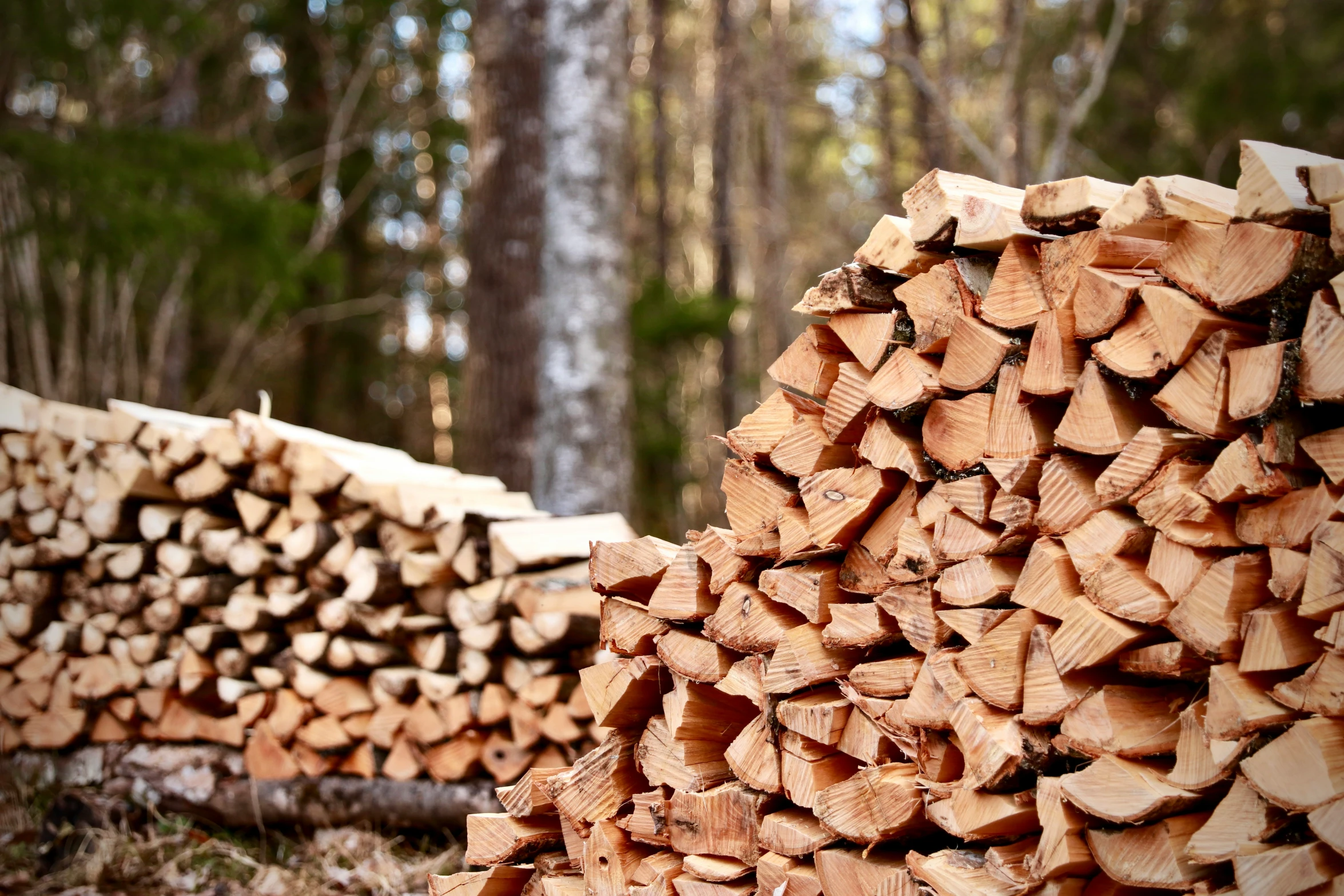 wood stacks sitting next to each other in the woods