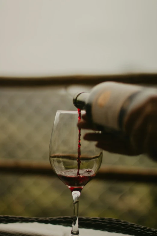 person pouring wine in a glass with a bottle