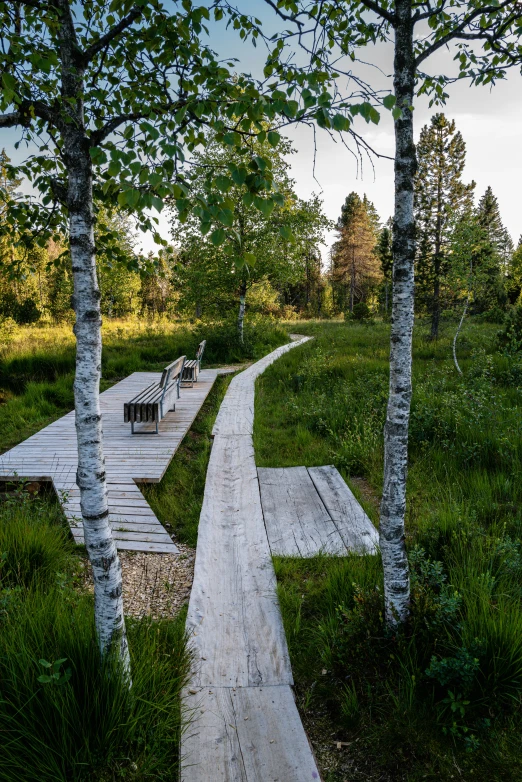 a wooden walkway with benches in the middle of a grassy field