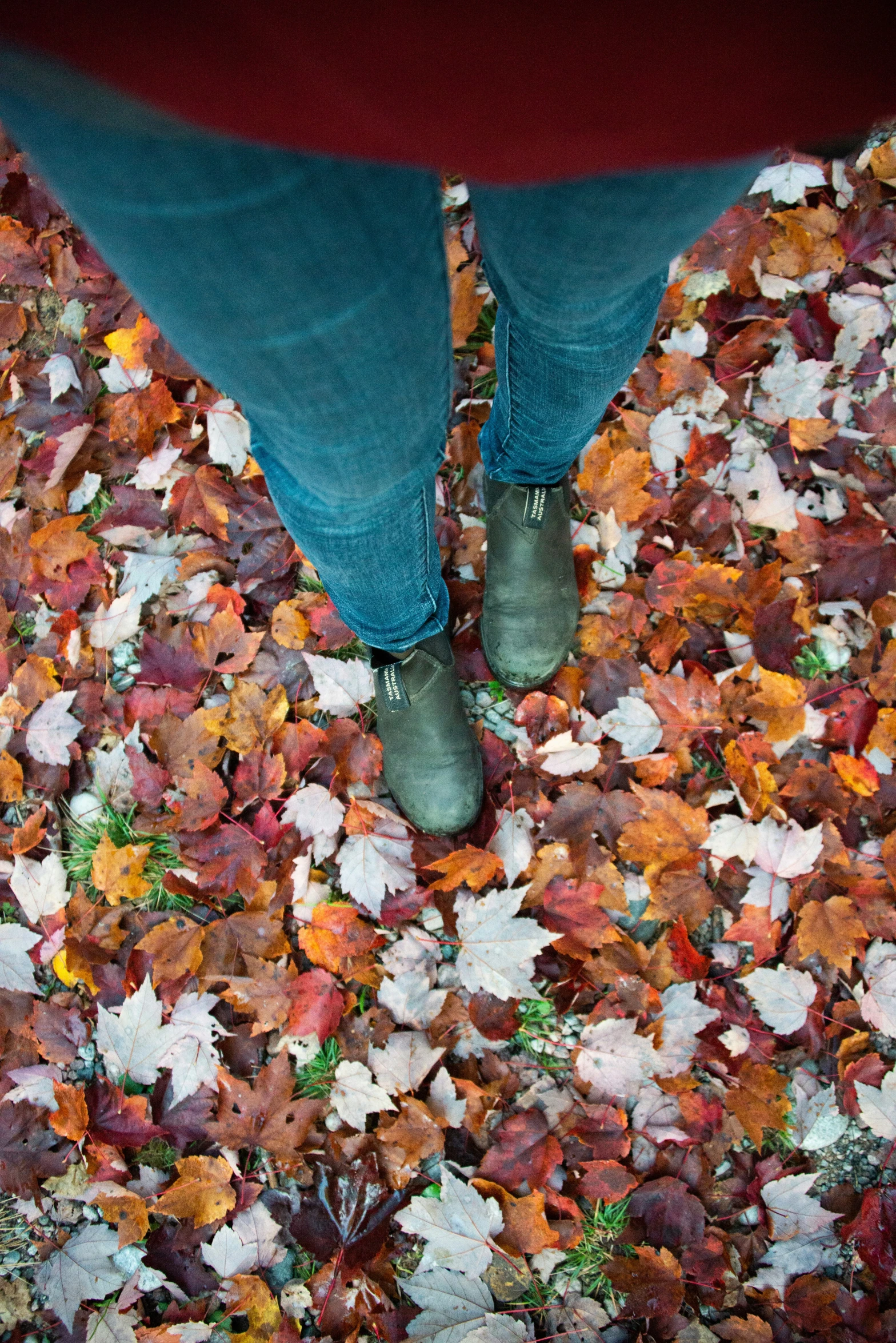 person in green shoes surrounded by autumn leaves