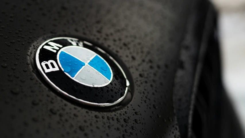 closeup po of the emblem on the bmw hood