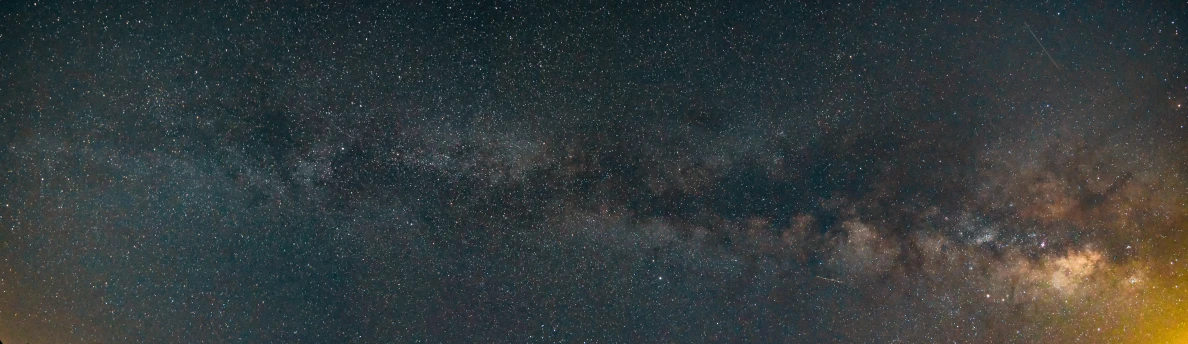 a night sky view of the stars above trees