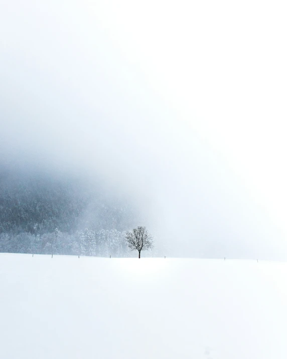 a lone tree standing in the middle of a snow covered landscape