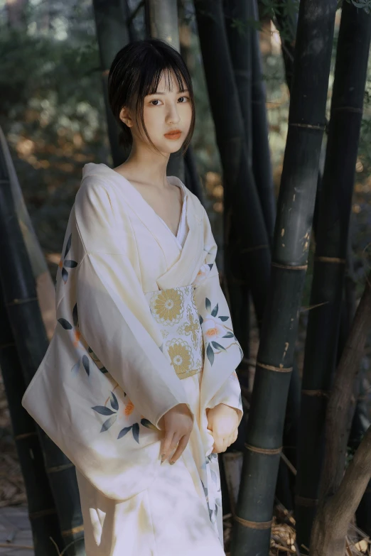 the young woman is dressed in a kimono