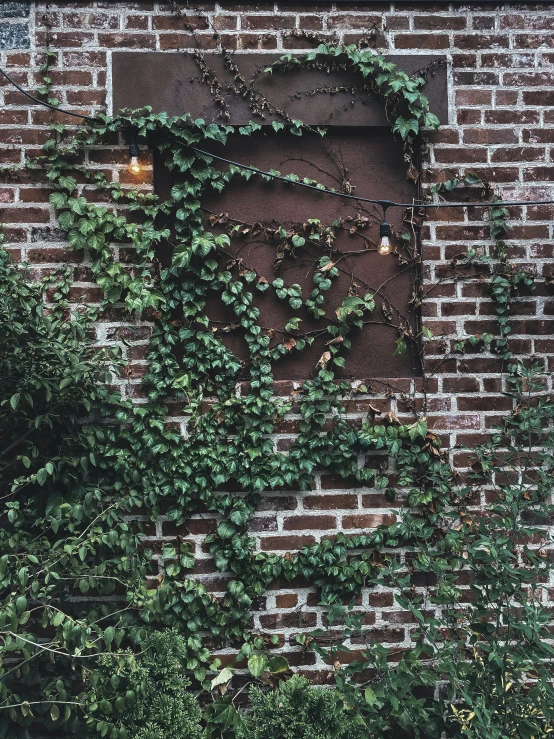 a brown brick wall with ivy growing on it