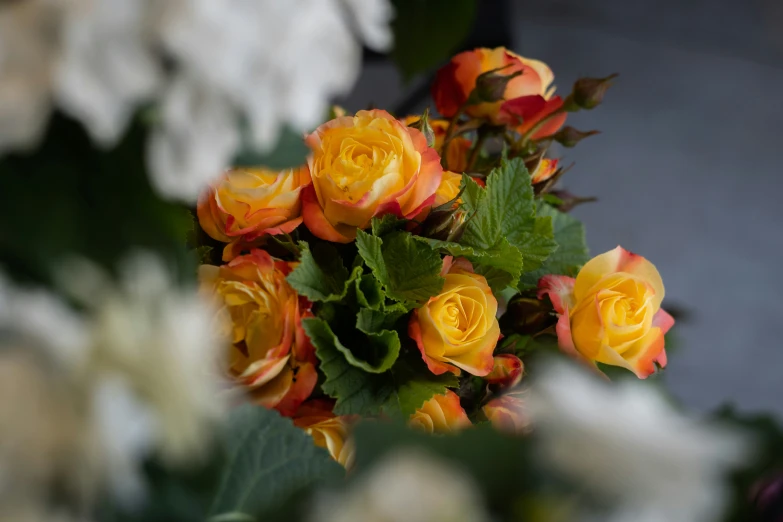 yellow and orange roses in a bouquet with greenery