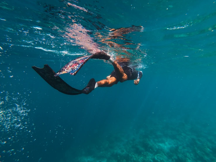 a person swimming under water in the ocean