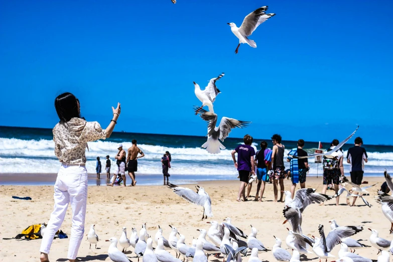 several birds are flying and standing near the beach