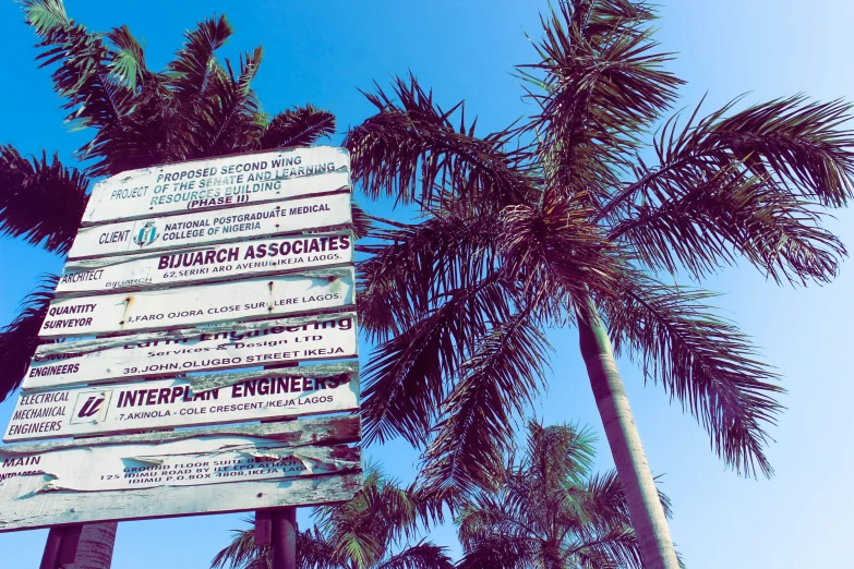 a lot of signs and palm trees with blue sky