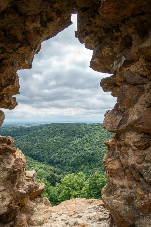 an open window showing a view of trees in the distance