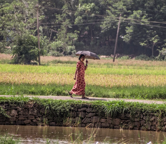 a person is walking in the rain with an umbrella