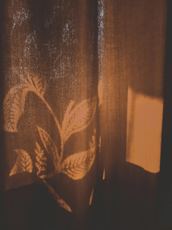 light reflecting off a sheer curtain on a window