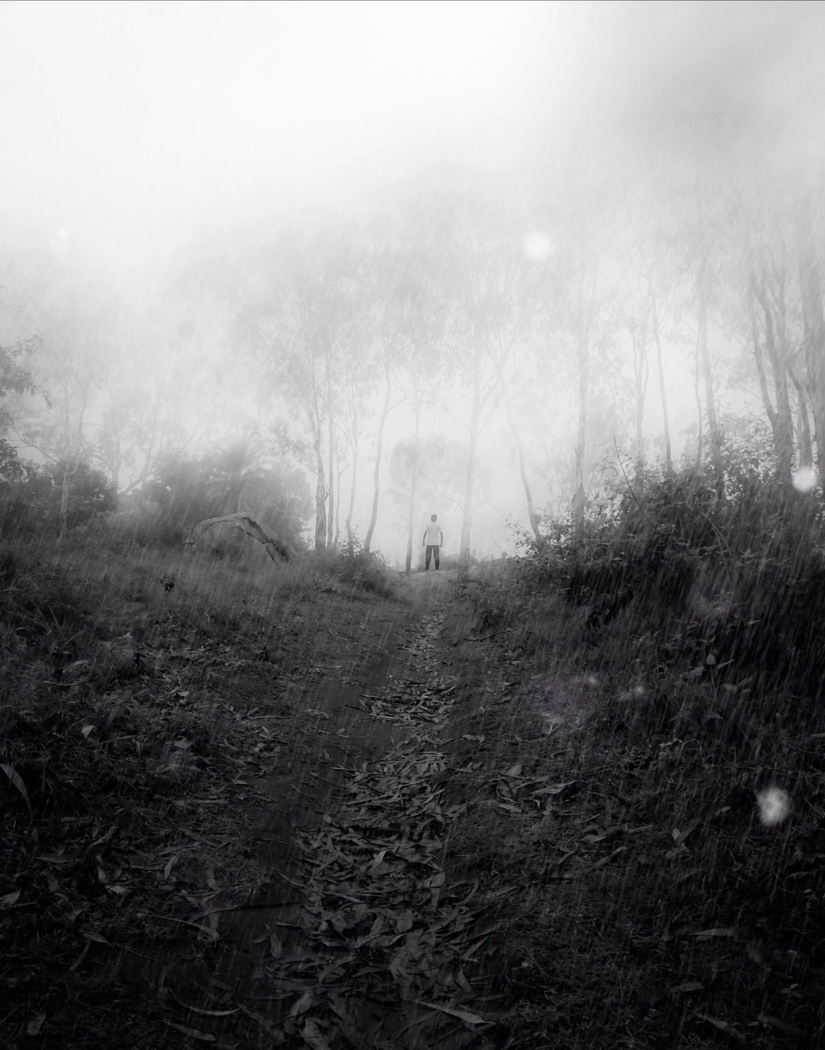 a person standing on a dark hill surrounded by trees