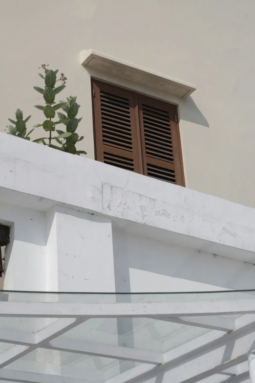 a window above a table and outside with plants on the ledge