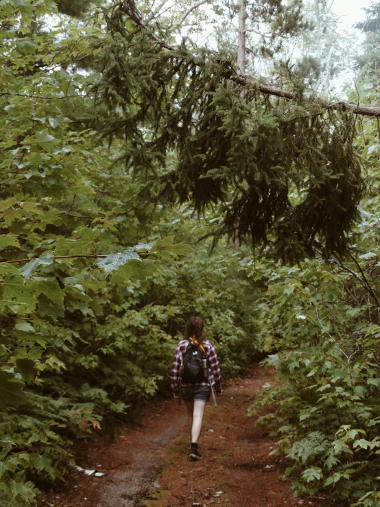 a man on a trail in the woods