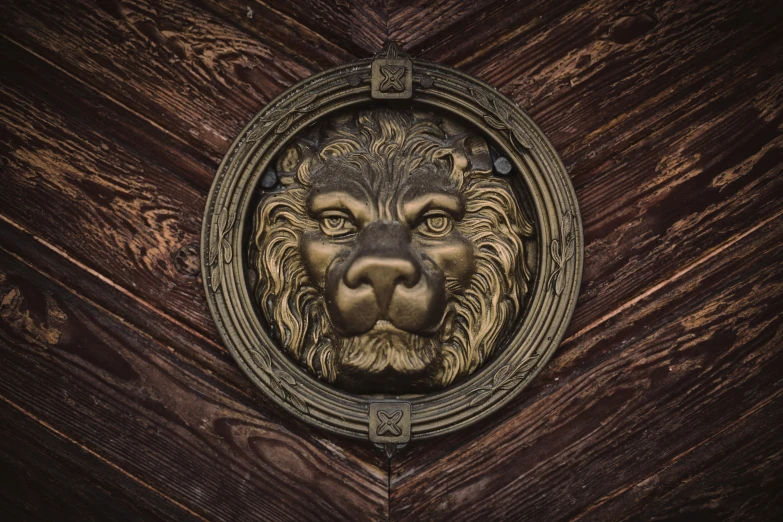 this is an image of a lion face in wood