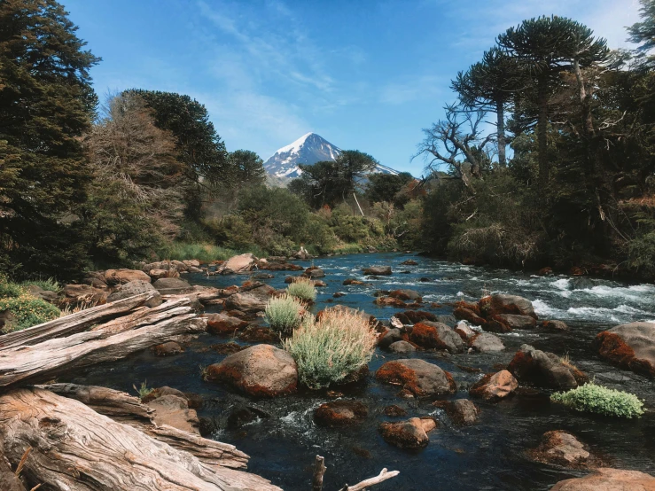 a river flowing through the mountains next to some trees