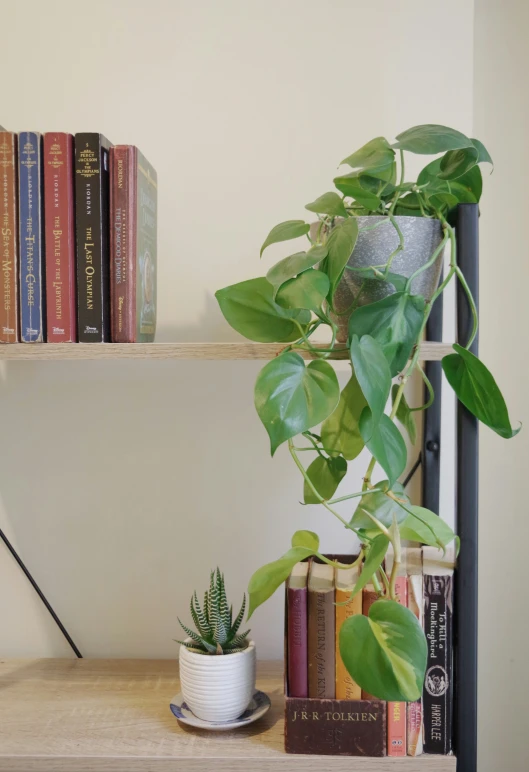 books are sitting on a shelf next to a potted plant