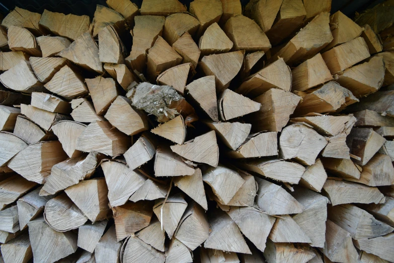 a pile of cut up trees with wood chips in them