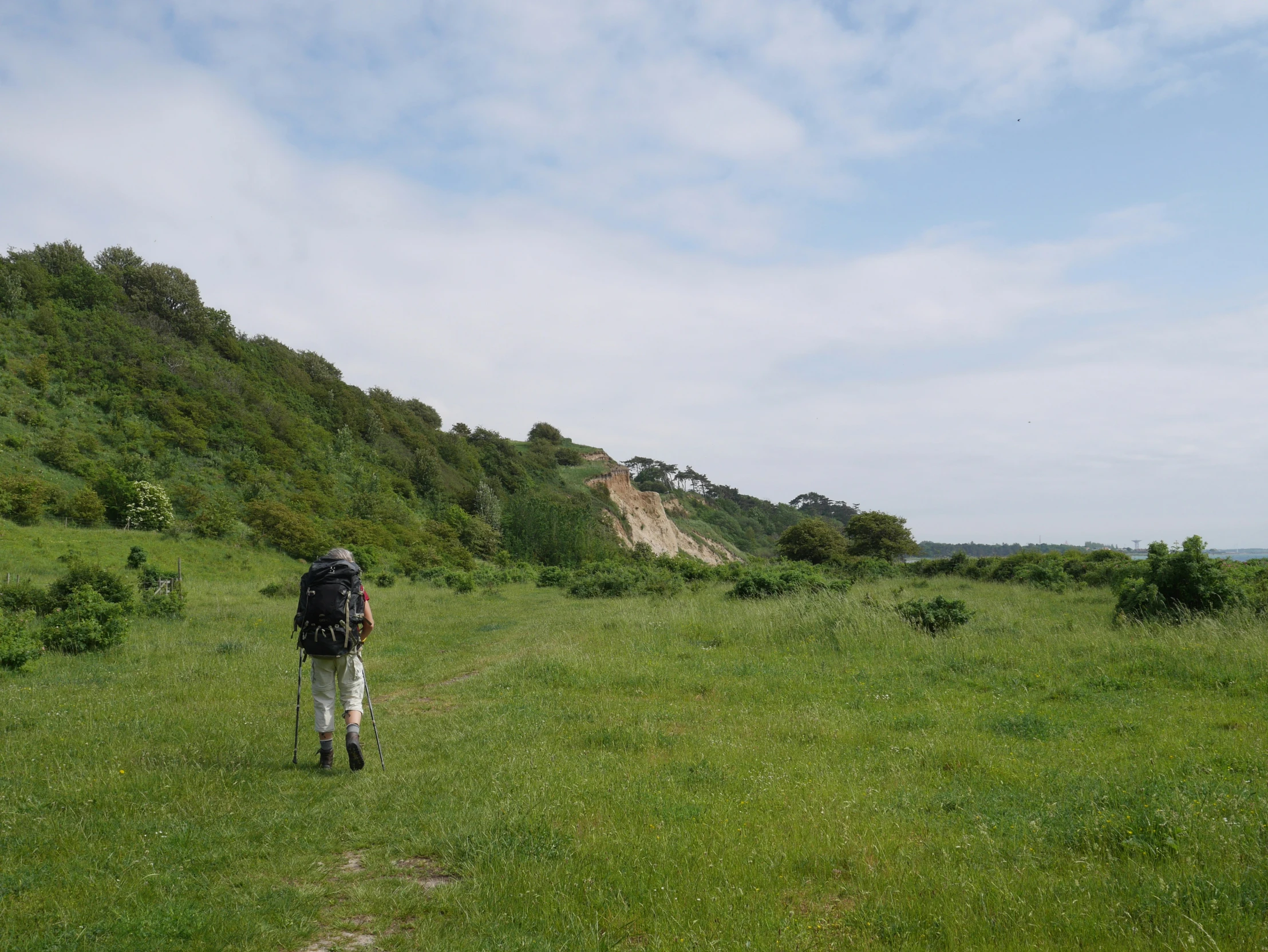 a man walks through the field in the sun