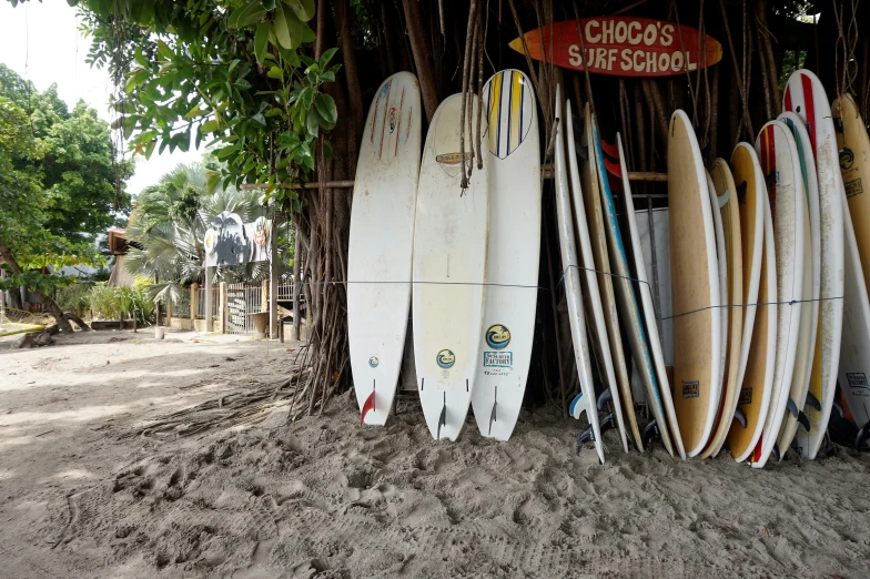 a wall of surfboards are seen on the ground