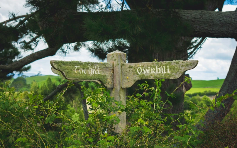 a carved wooden cross surrounded by green grass and tall trees