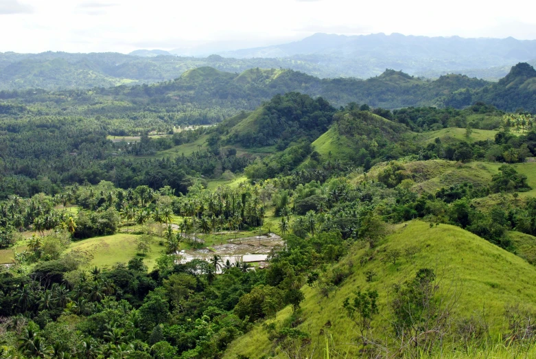 a green mountain with lush greenery near by