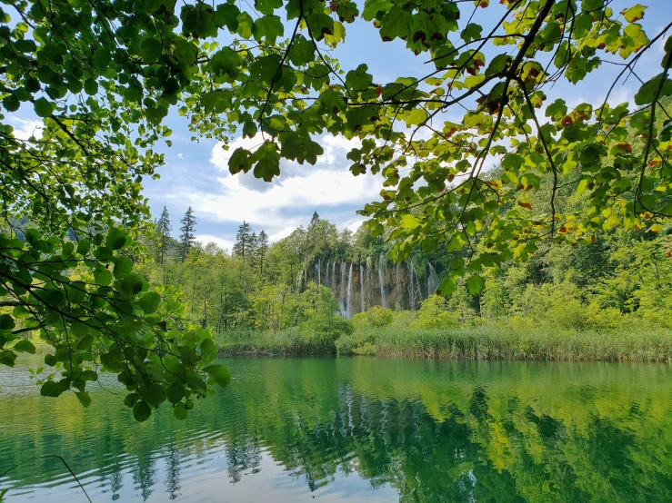 the water and the trees are beautiful