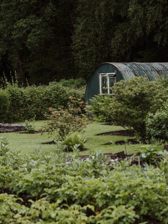 a green shed that is in the middle of some bushes