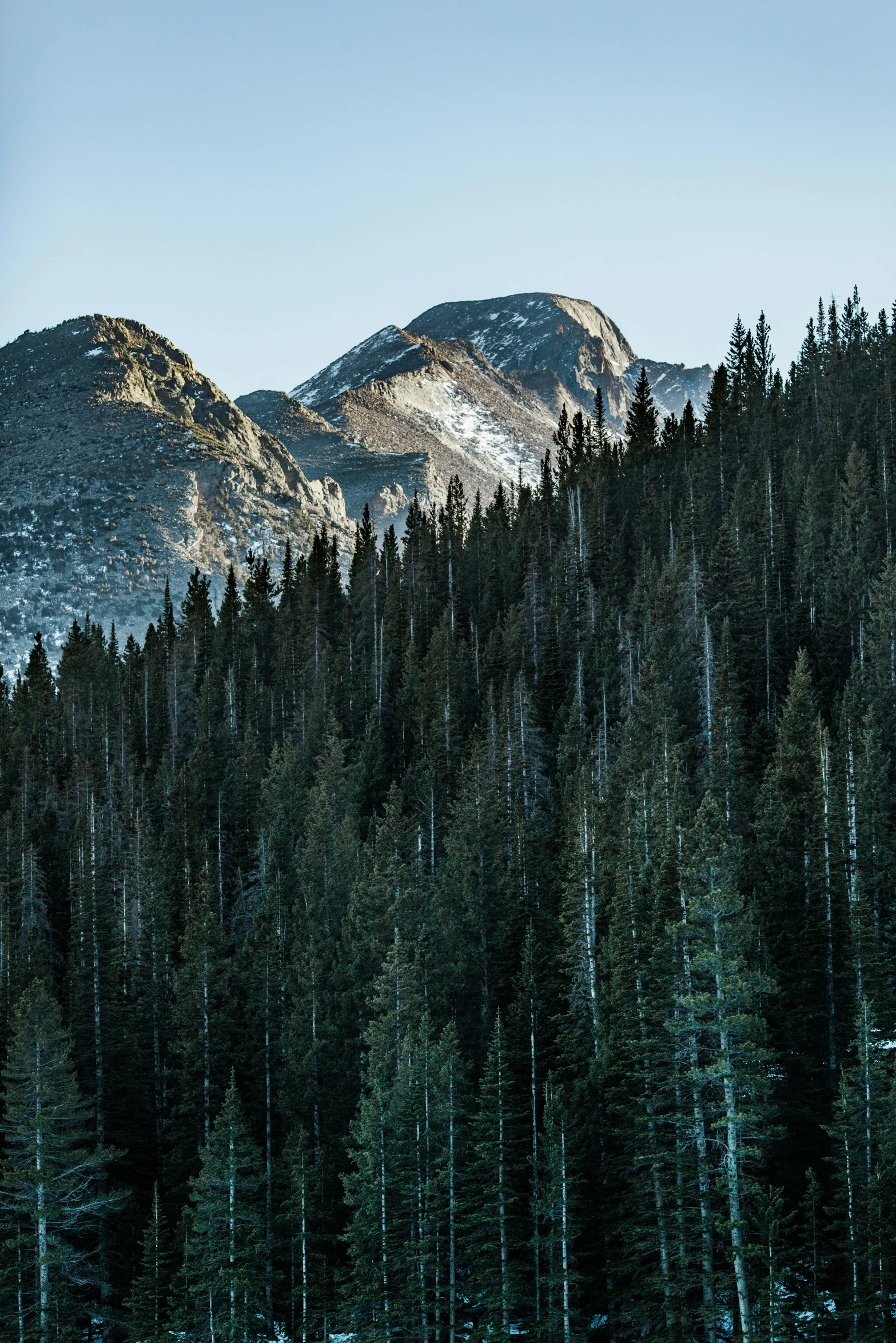 tall mountains near some trees and snow