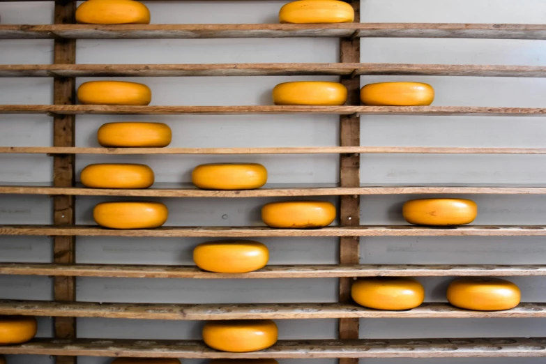 several different types of cheese are mounted on a gray wall