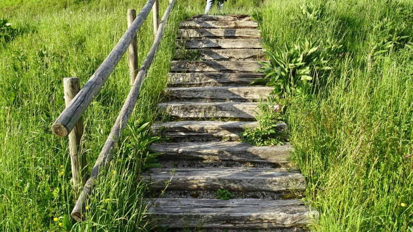 a long wooden plank stair case on a dirt path