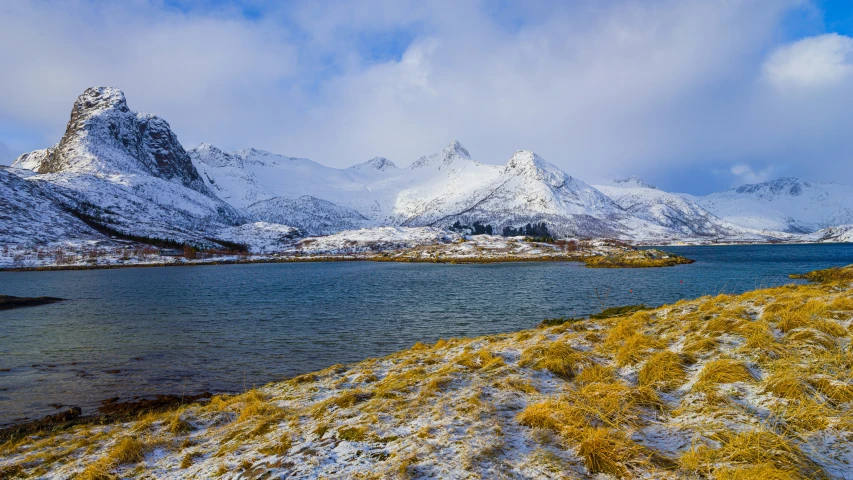 a snowy landscape with yellow moss on a hill