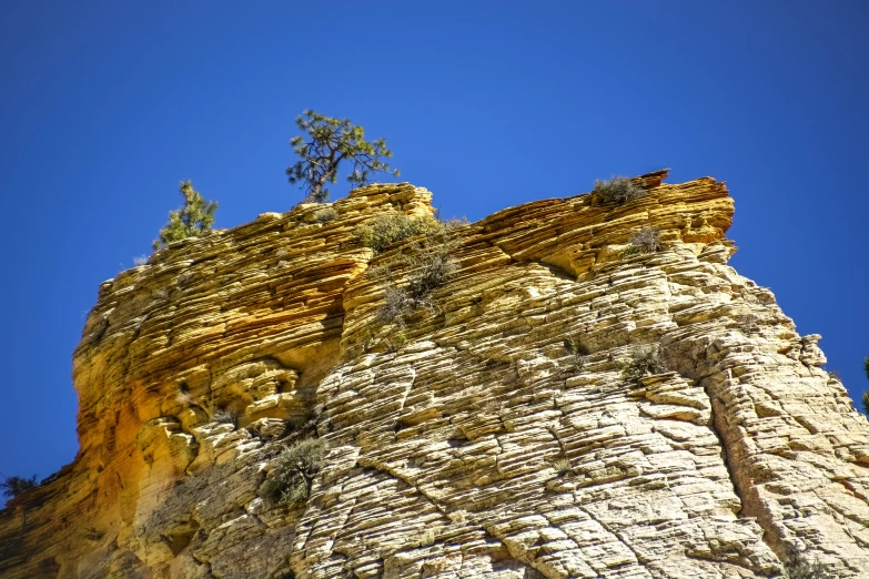 a very tall stone cliff with some trees on it