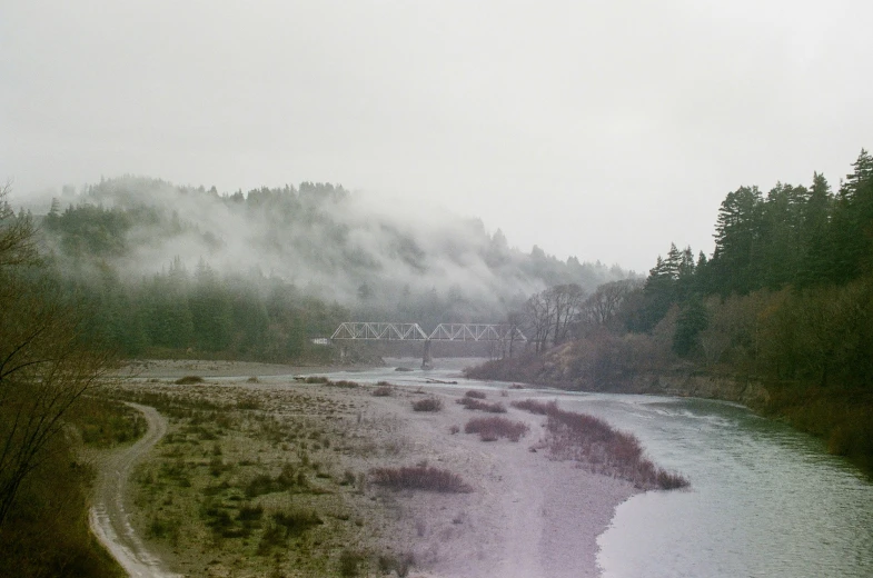 a scenic scene, with low clouds and forest on either side