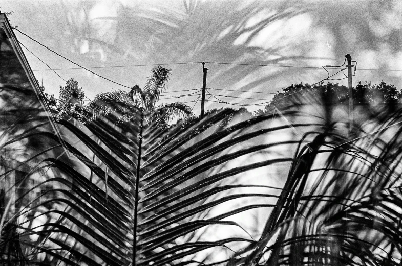 black and white pograph of a silhouette of a telephone tower