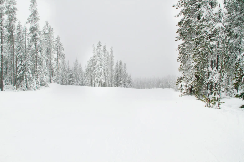 skiers are making their way down a snowy mountain