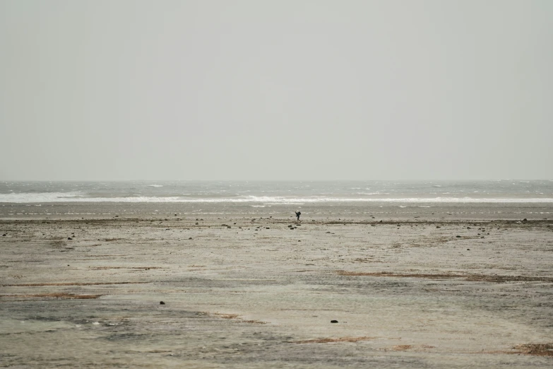 two people in the water on their surfboards