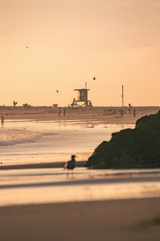 the beach with people on it at dusk