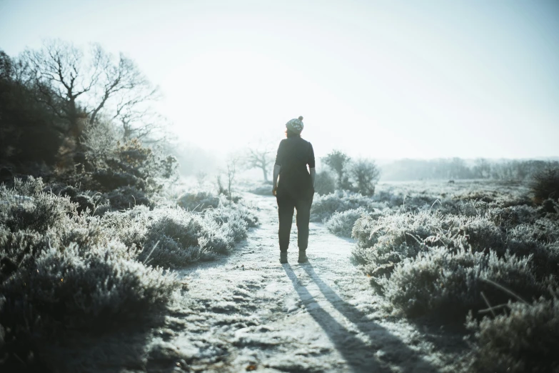 a person walking down a trail through a field