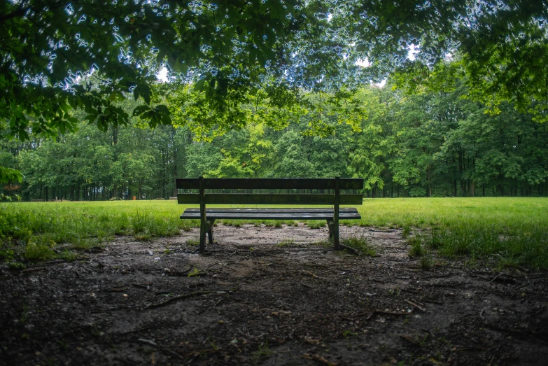 a bench sitting on top of a dirt field under a tree