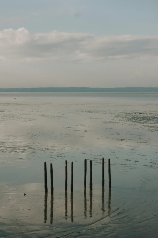 some wooden posts are stuck in some water