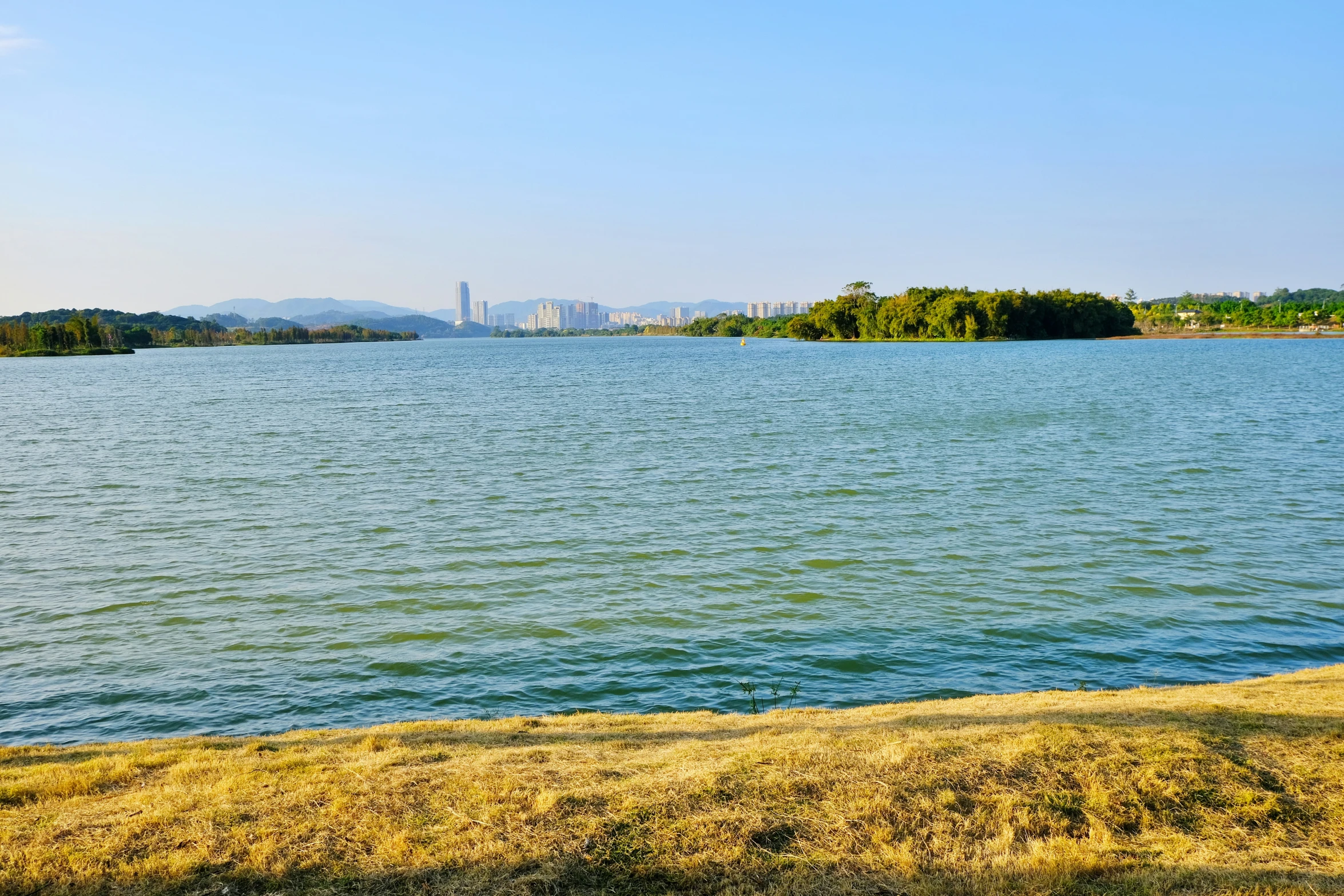 a body of water with trees in the distance