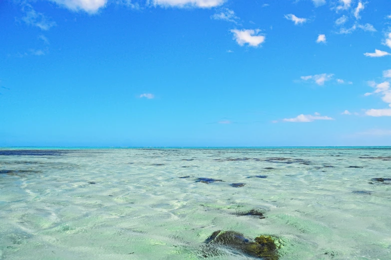 view of a sandy beach with clear blue water and the sky