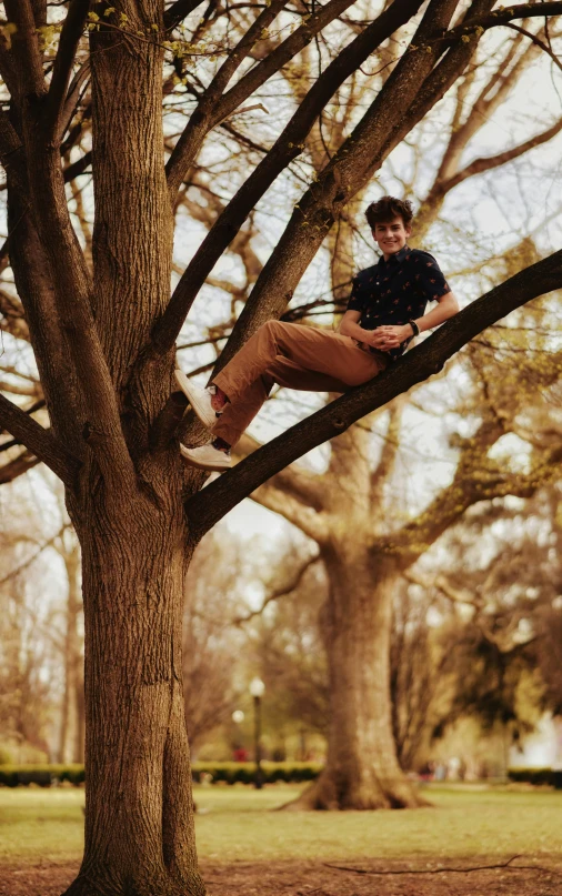 a  sitting in the nches of a tree