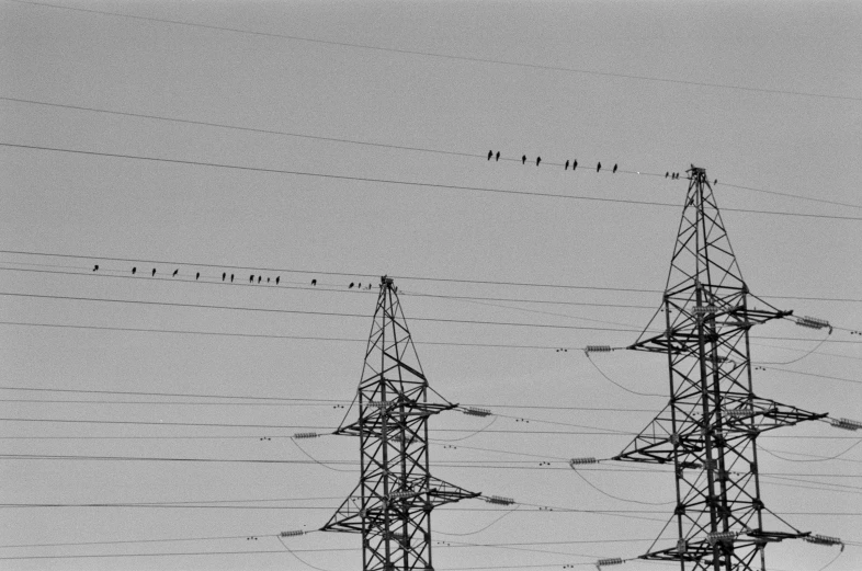 a view from underneath of some power lines