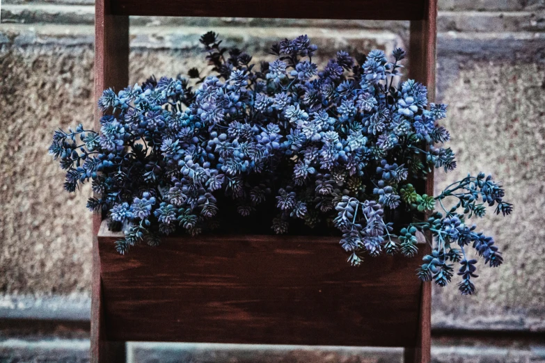 this is blue flowers in a wooden box