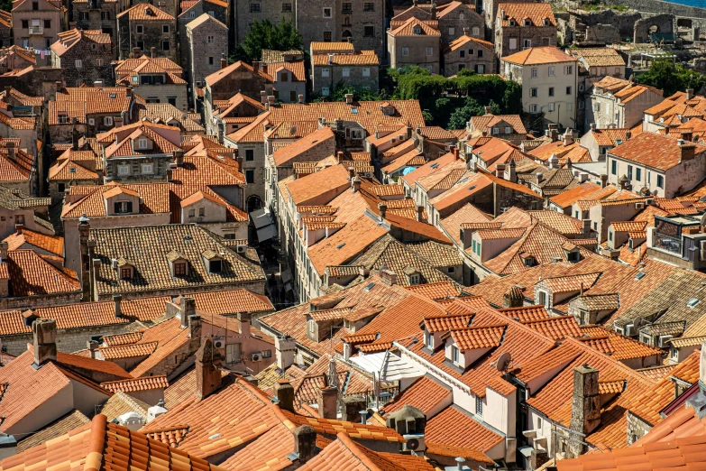 a view of the top half of an old city with many rooftops