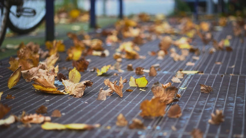 a black and metal grate covered in autumn leaves